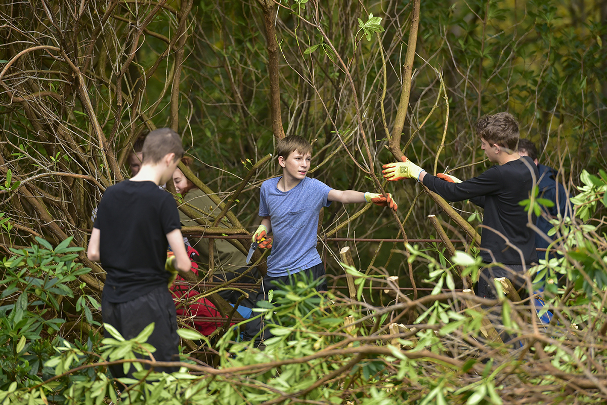 Young people working with wood in a forest