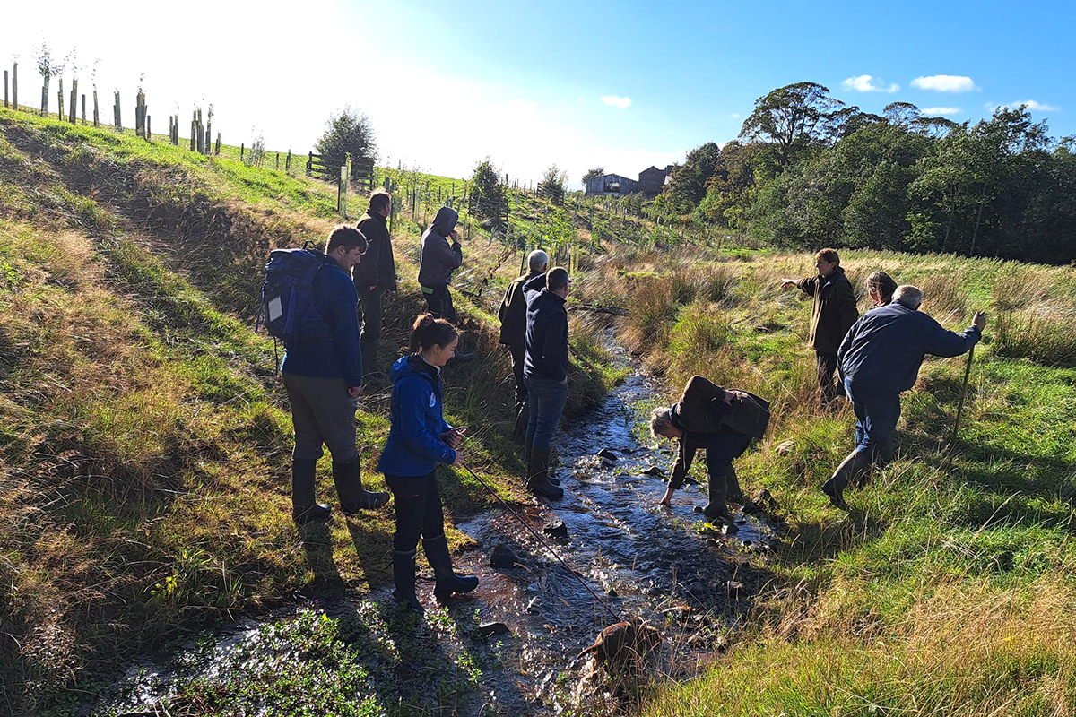 Group of people, some on a sloping riverbank, some in the stream, looking for aquatic wildlife under the surface.