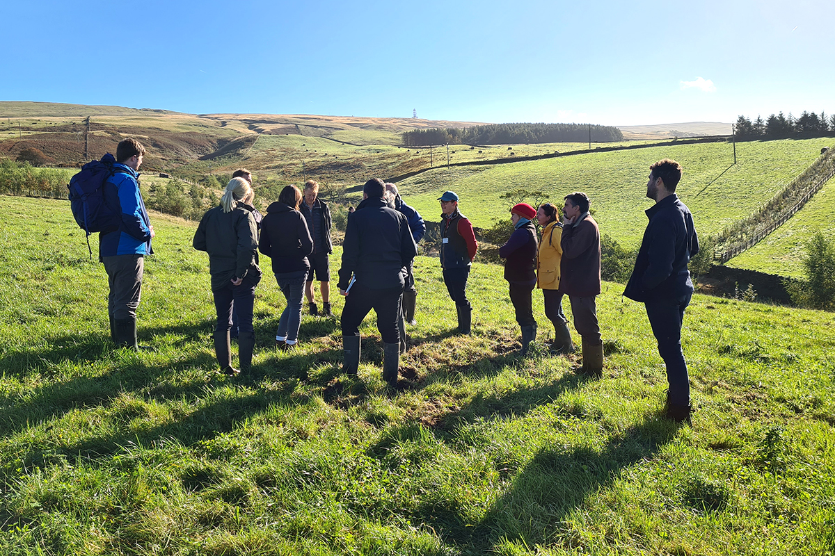 Group of people stood in a field in the late afternoon sunshine. Can see fells reaching up to blue sky behind them.