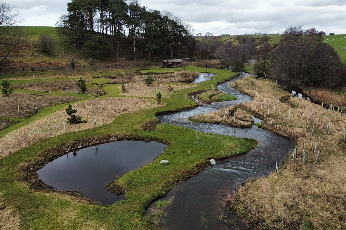Cairn Beck river restoration site
