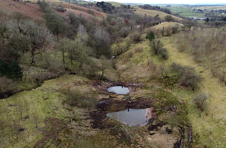 NFM ponds at Cumrew