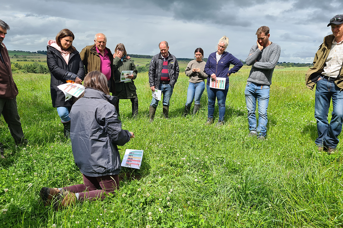 Goup of people looking at a woman kneeling on the ground who is talking about soil.