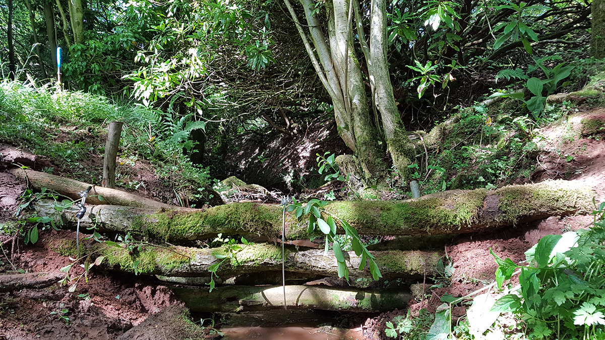 Leaky Woody Debris Dam