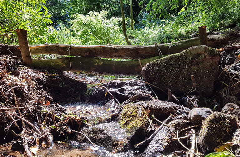 Leaky woody debris dam