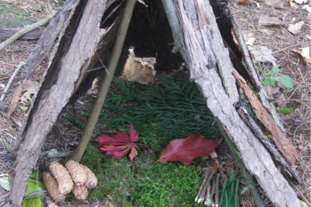 Shelter for insects made from natural materials