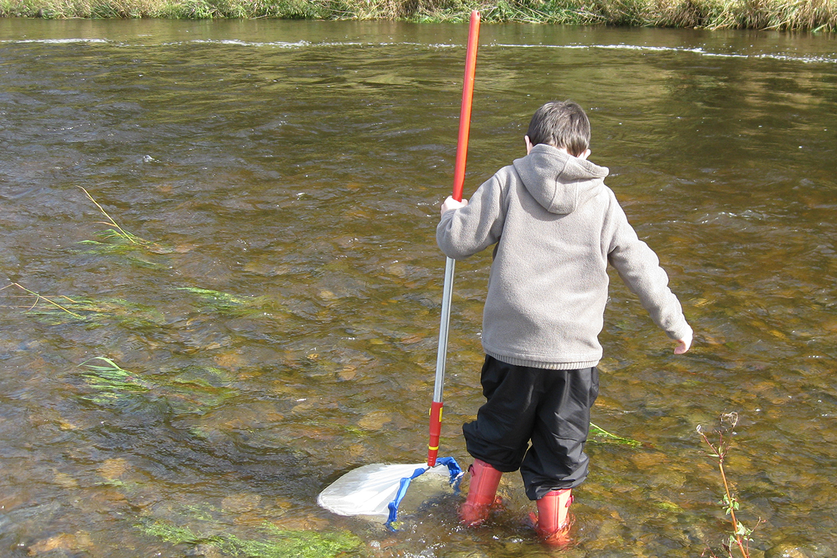 Boy river dipping