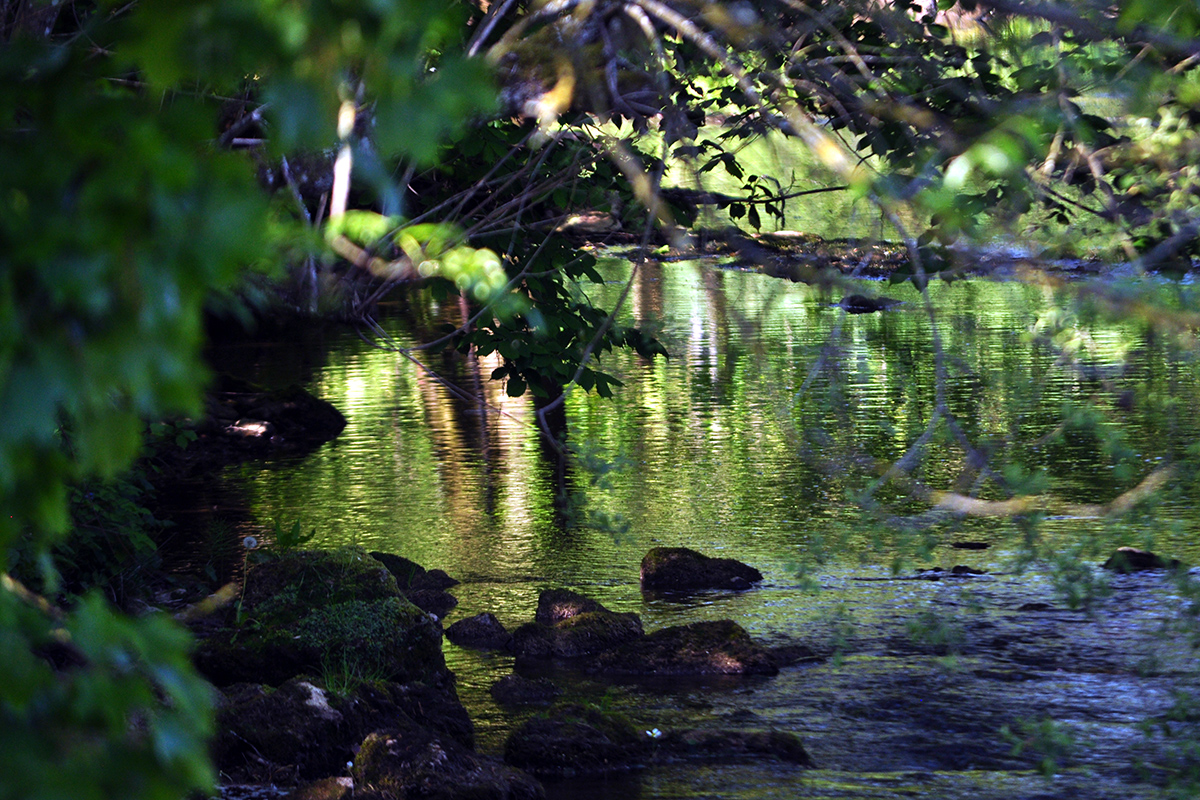 Hoff Beck - still water