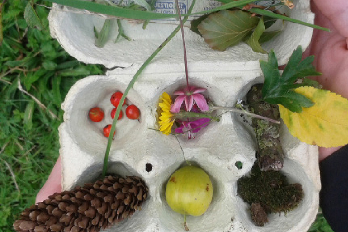 Egg box containing natural leaves and berries