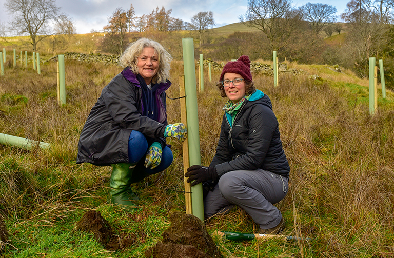 close-up of people planting trees