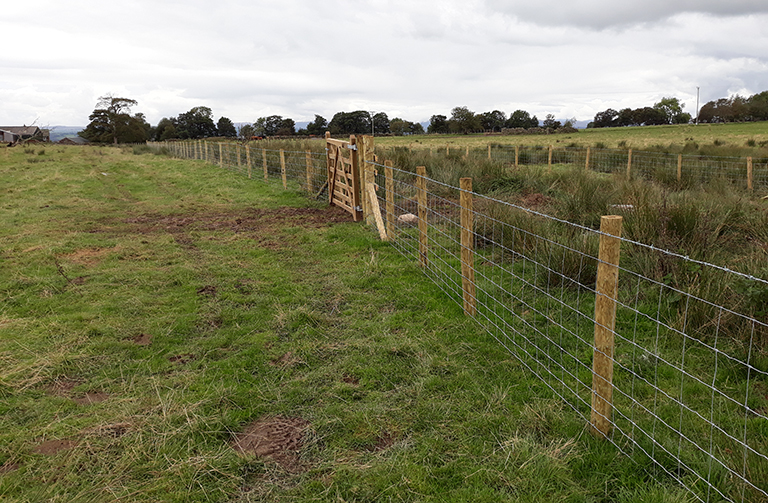 new fencing near the river
