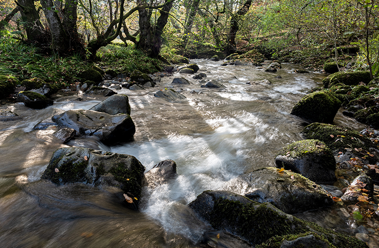 River Eden flowing under a bridge