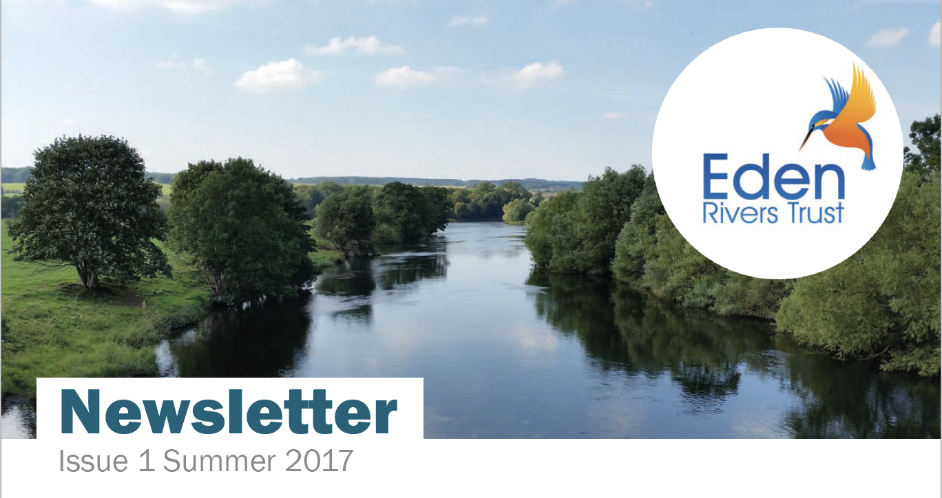 summer-2017-newsletter-download