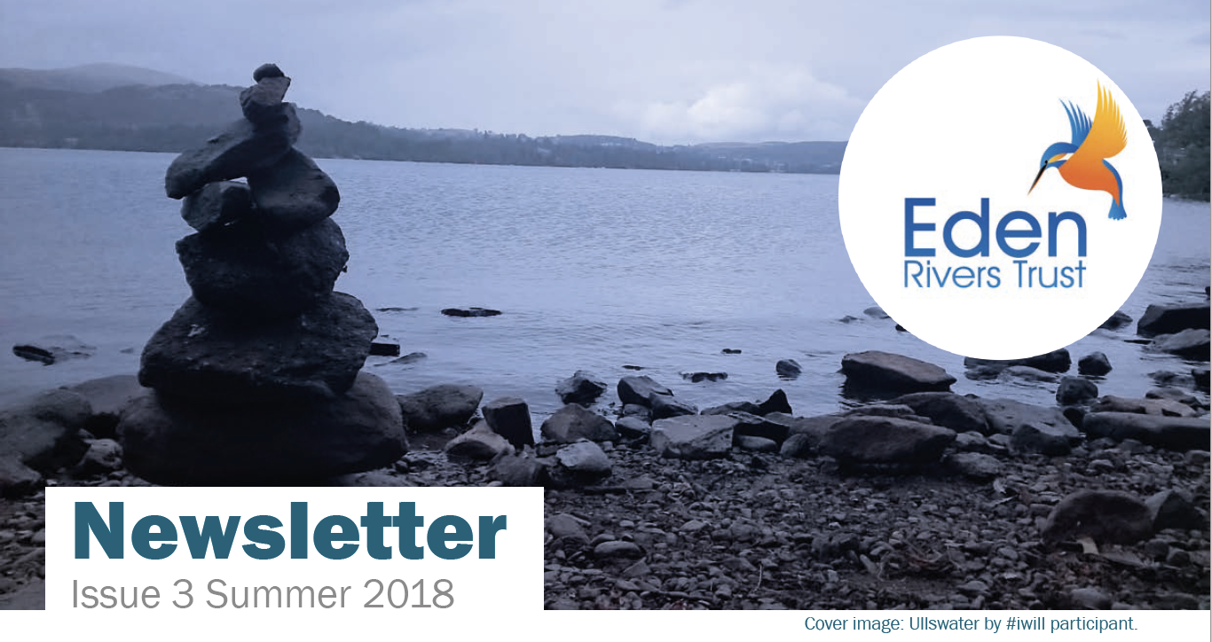 summer-2018-newsletter-download