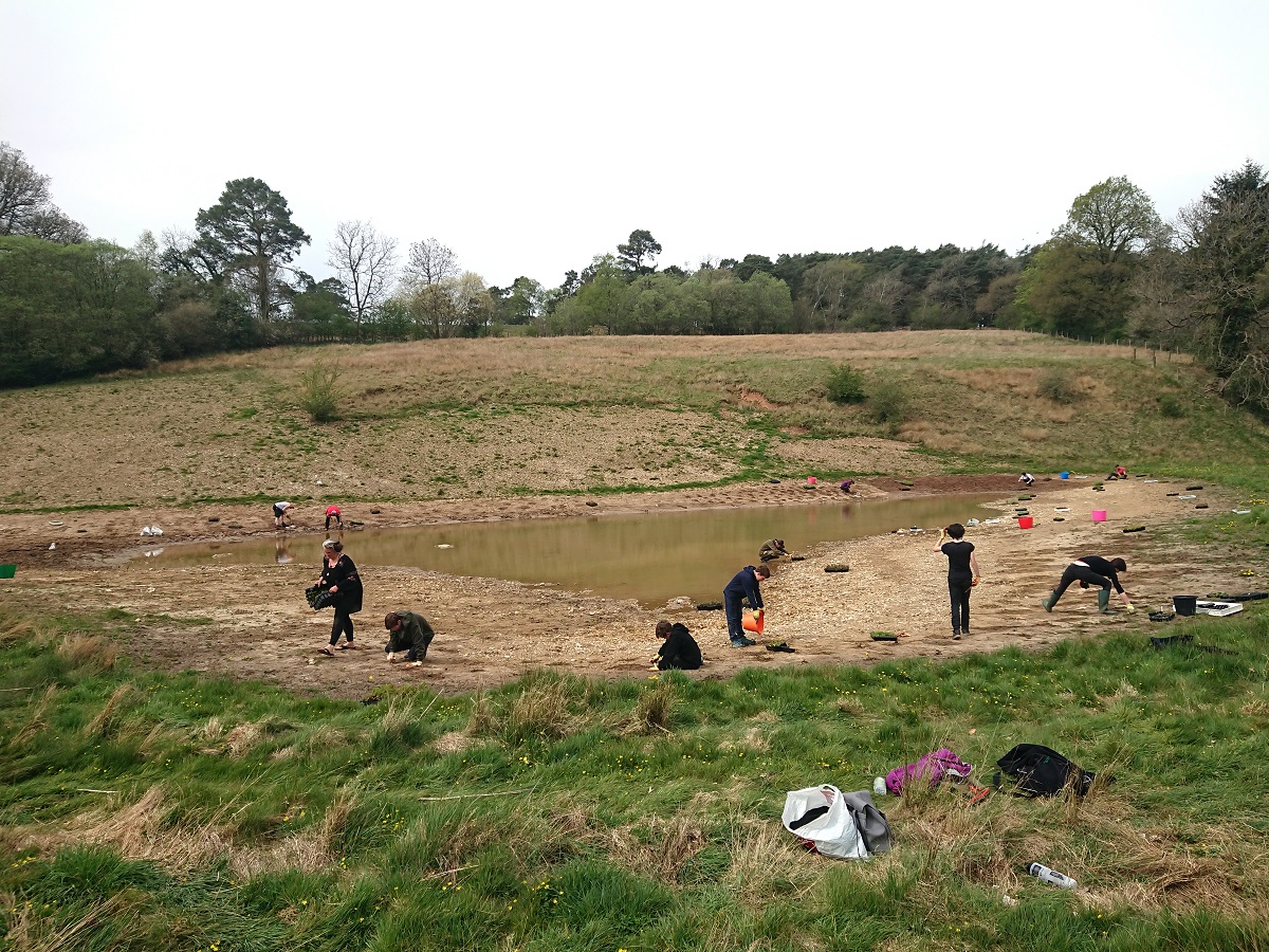 Home educated teenagers planting wildlfower plug plants around a large pond