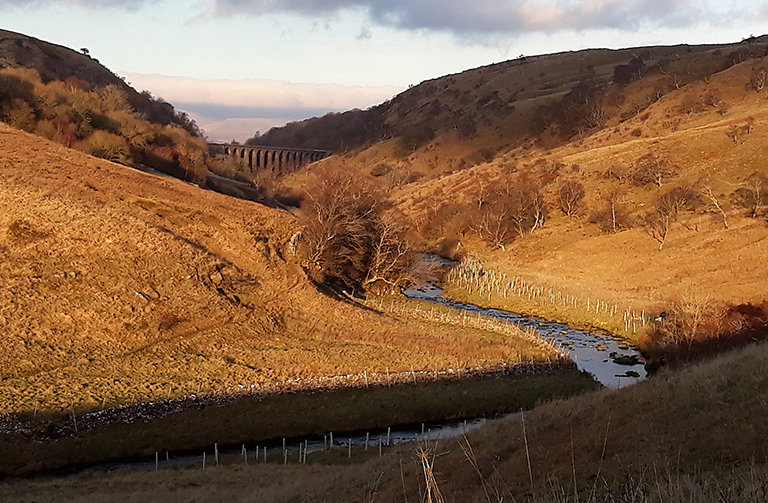 River running through a sunlit valley with trees planted on the riverbank