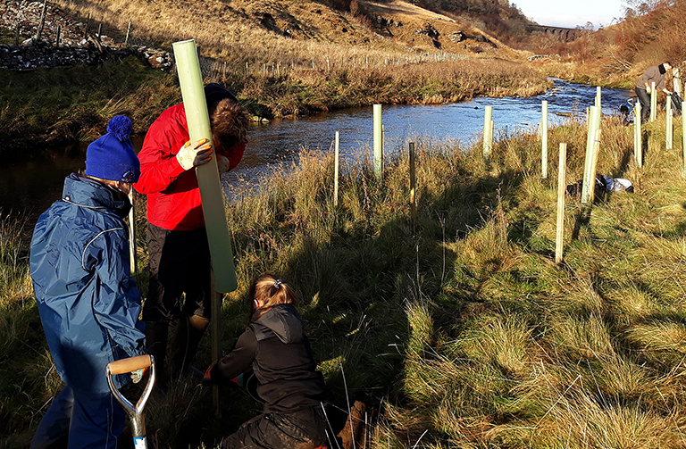 Children planting trees by the river