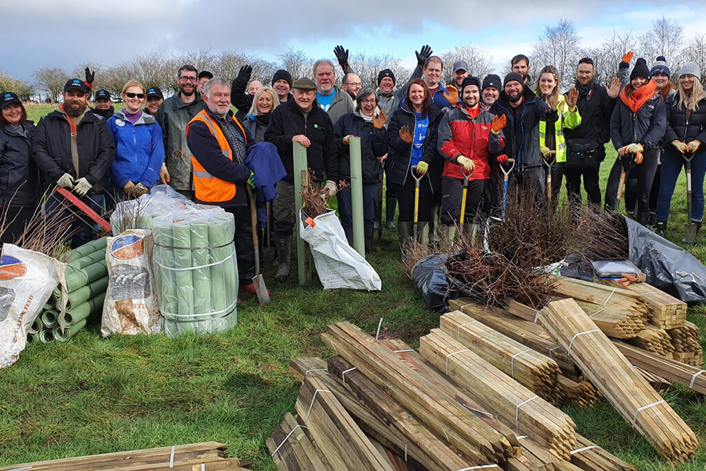 tree planting volunteers