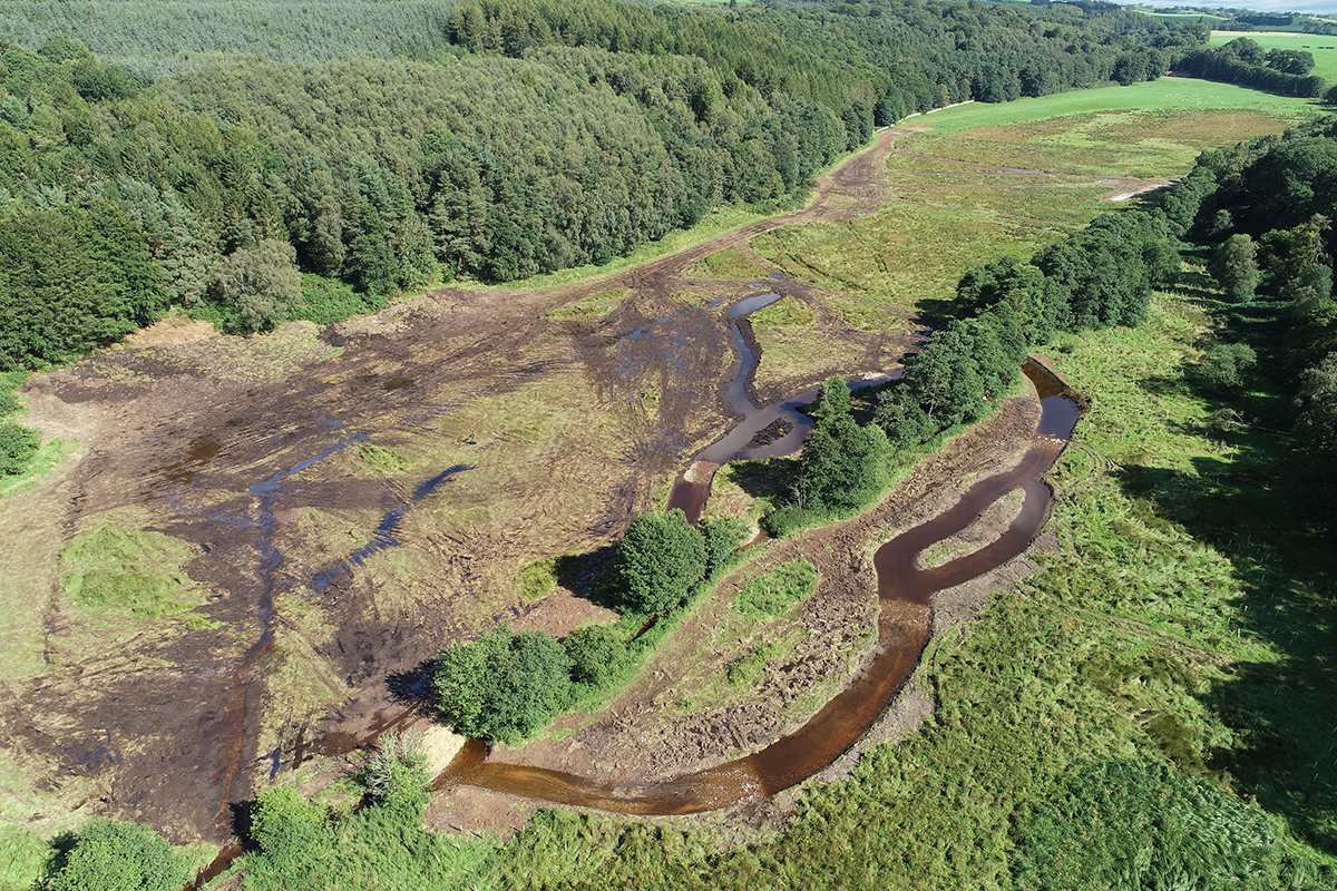 Aerial view of the river restoration on Frith Beck
