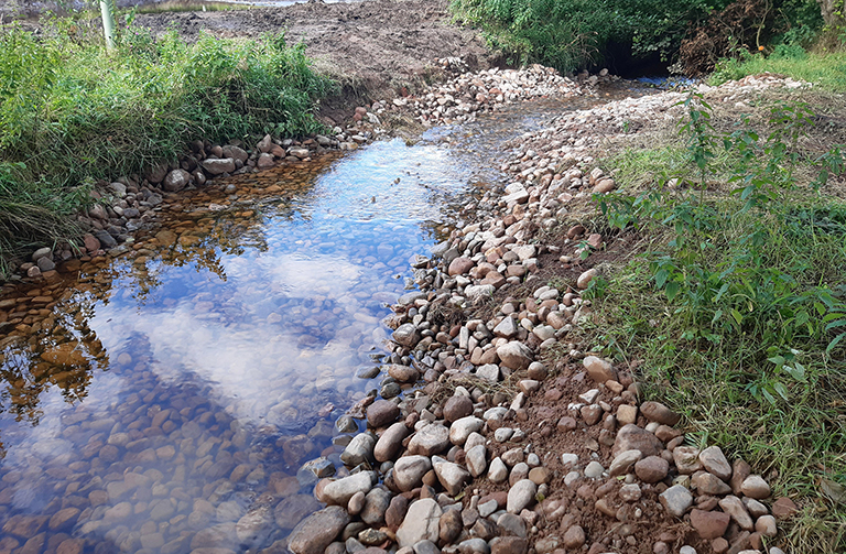 river channel with riffle