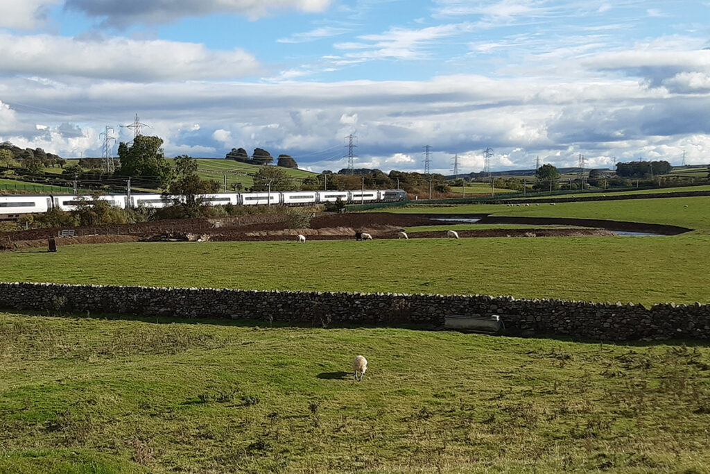 New meandering river channel with a train going past