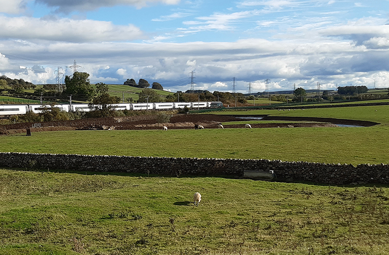 New meandering river channel with a train going past