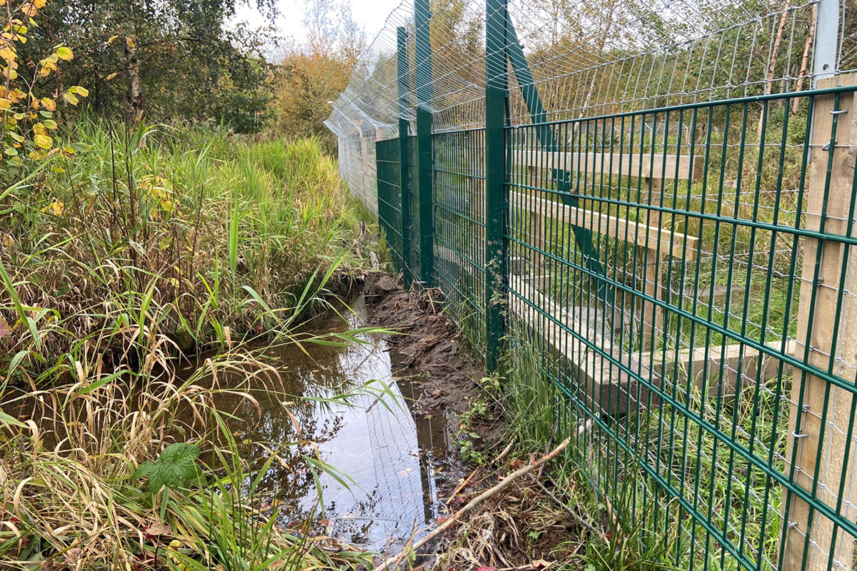 Tall fence to keep beavers in their enclosure