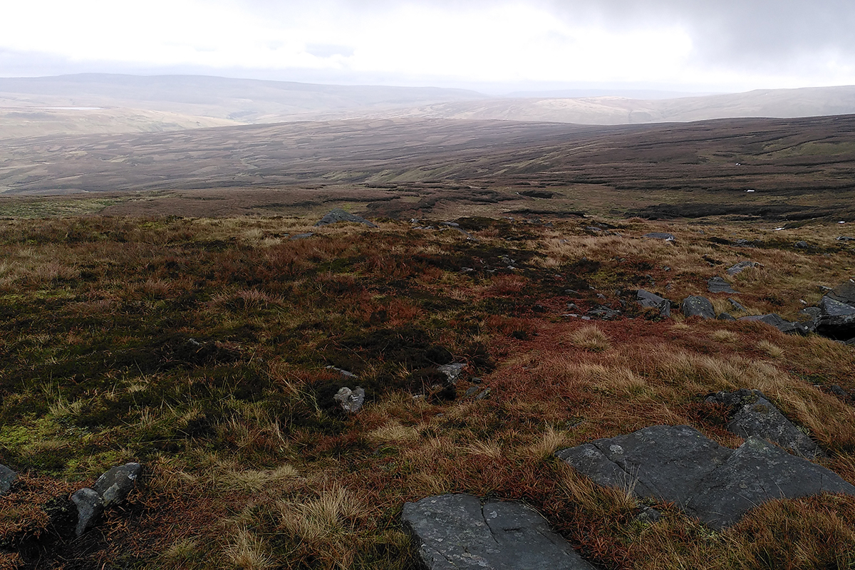 upland peat landscape in Eden