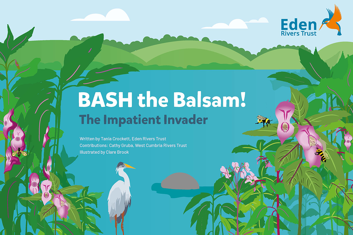 Front cover of Bash the Balsam book