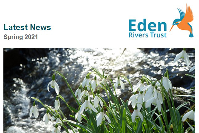 Spring 21 newsletter front cover