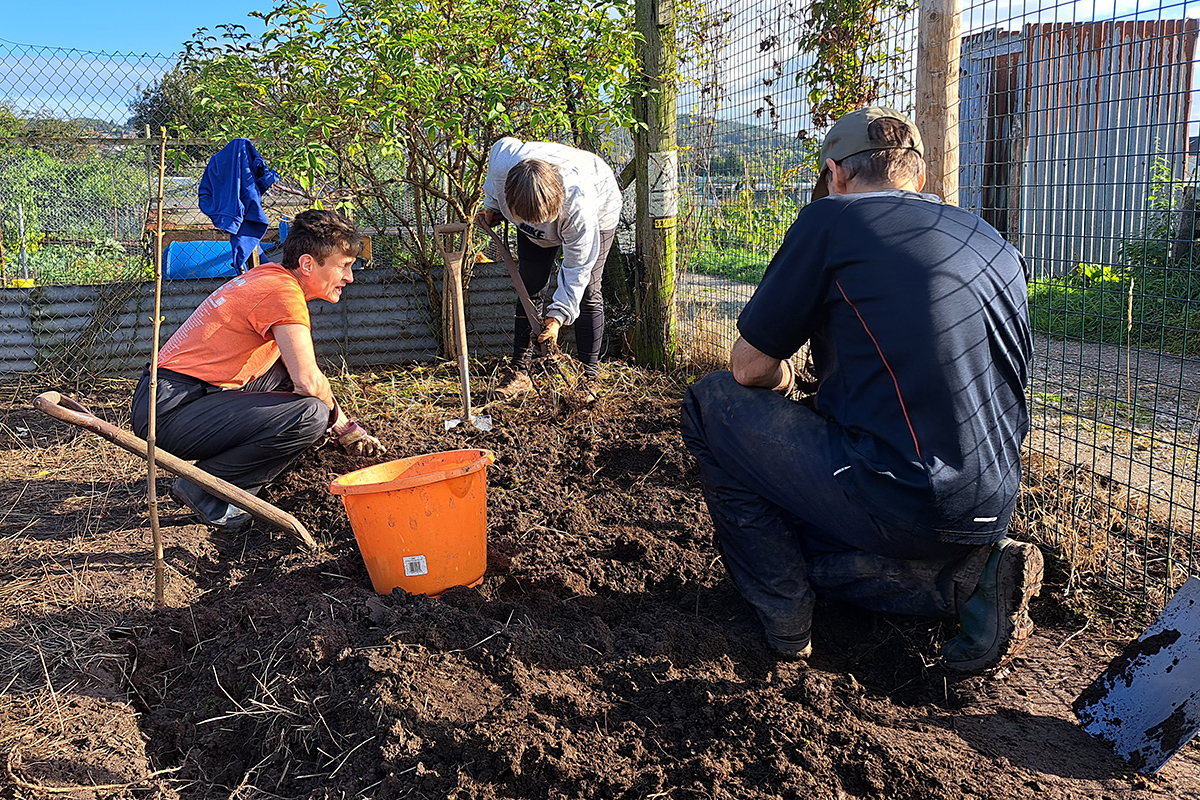 people digging