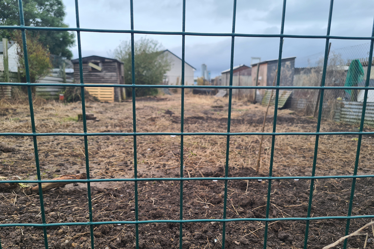 Empty allotment site seen through a fence