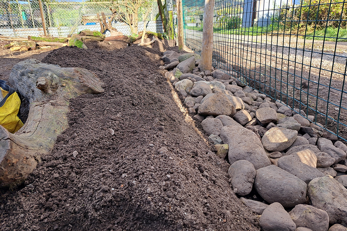 Soil prepared ready for planting