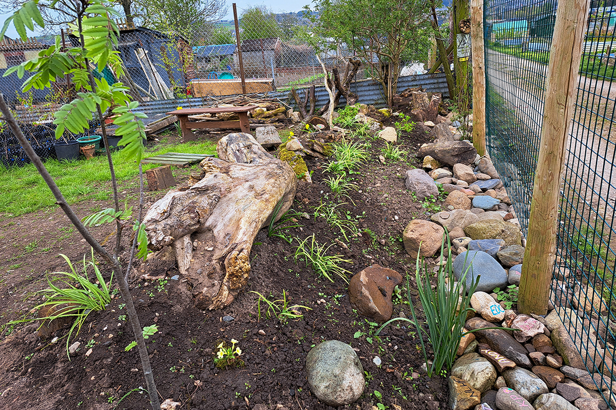 Stones, plants and driftwood bed at the front of the nursery.