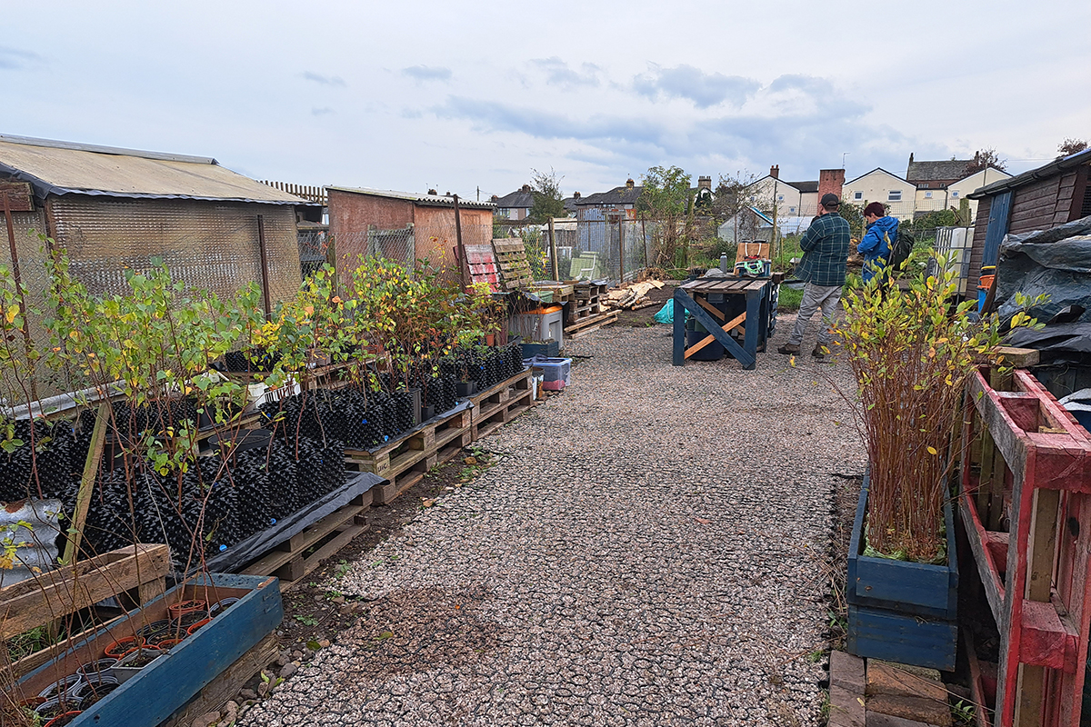 View of the path, beds and potting table at the tree nursery