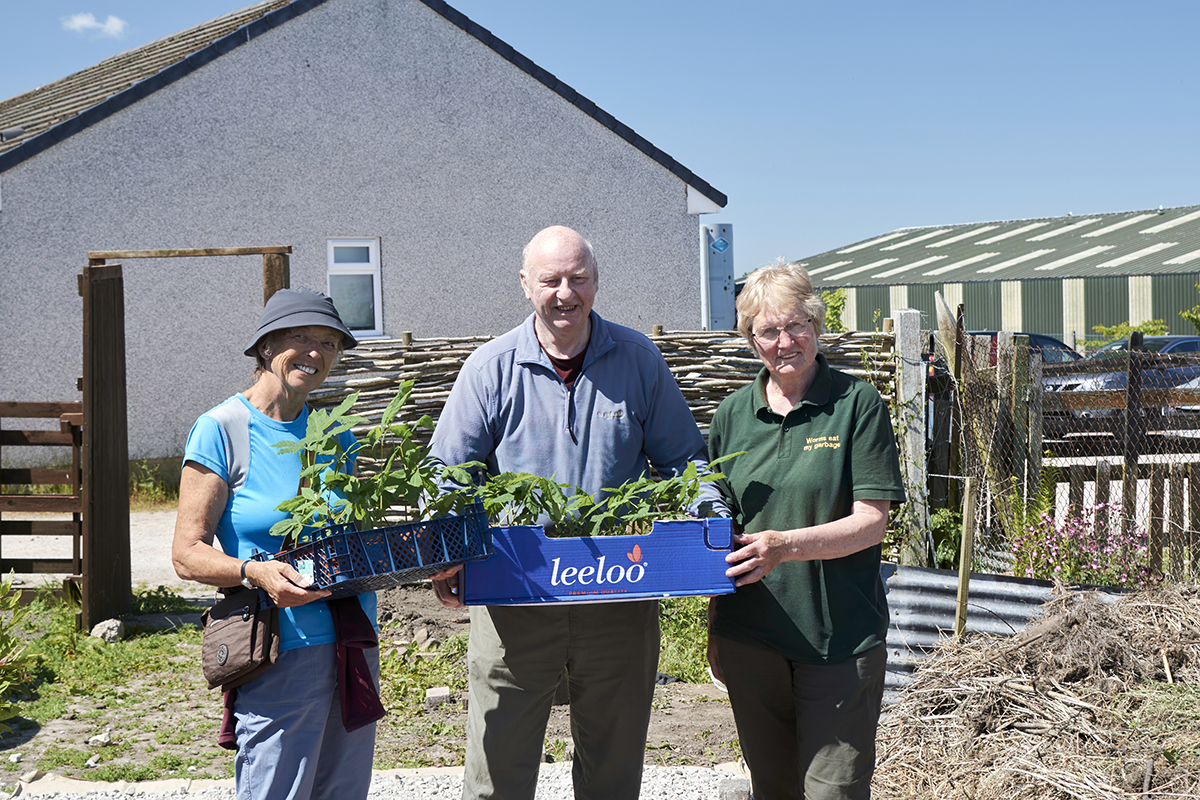 Three people holding trays of plants.