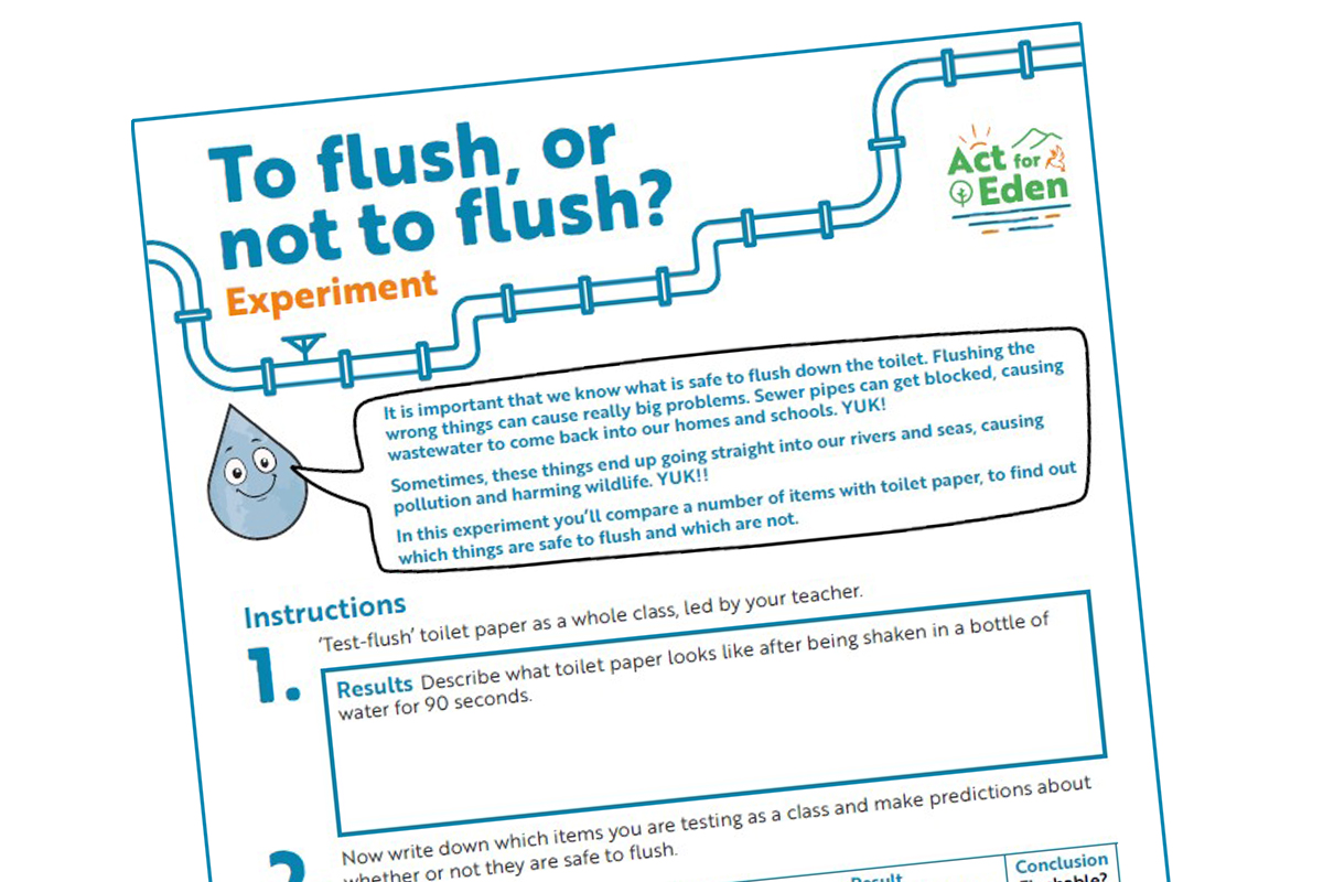 To Flush or not to Flush sheet