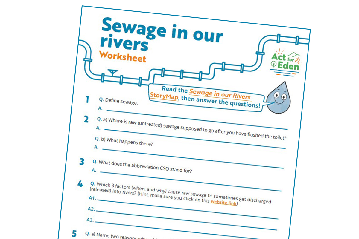 Sewage in our rivers worksheet