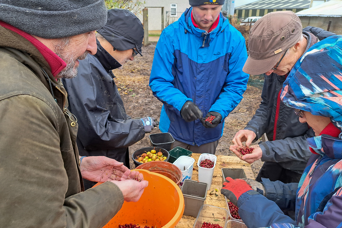 people stood round a table sorting different types of seeds