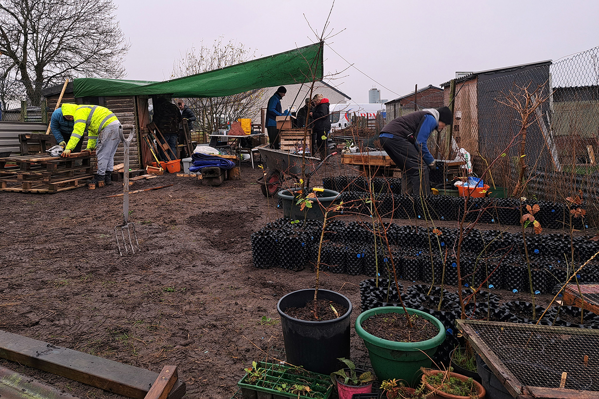 people working in an allotment