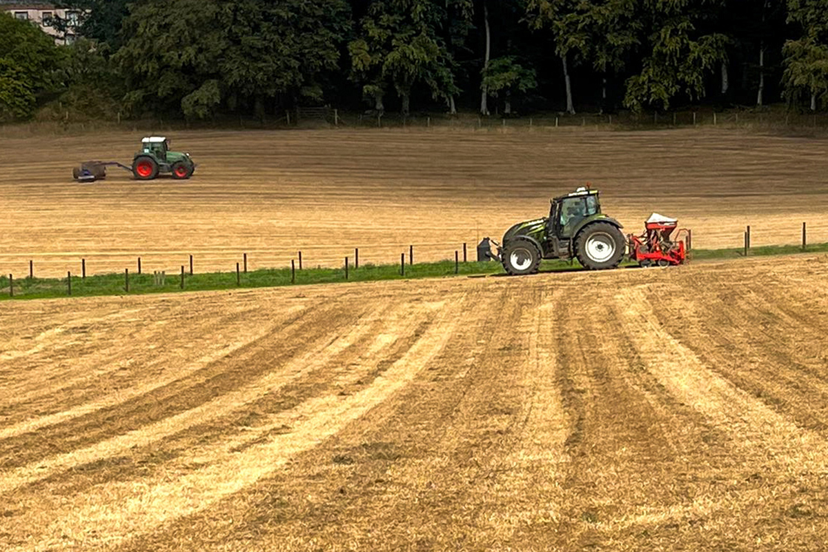 Two tractors sowing the field with herbal leys