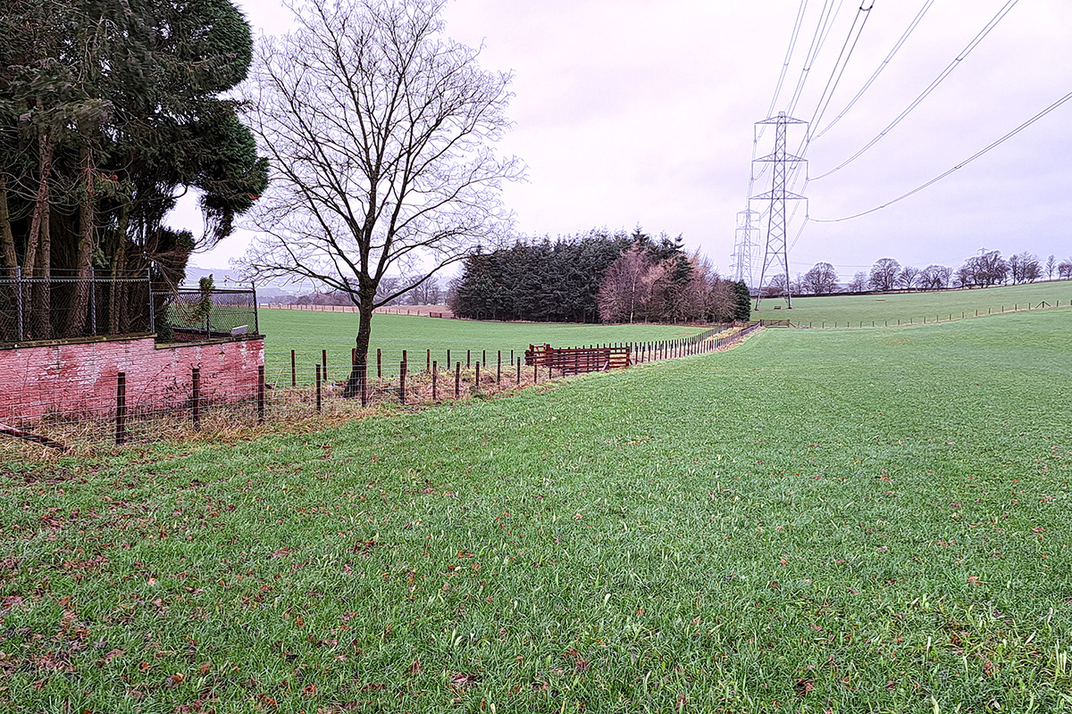 Herbal leys growing in the field on either side of a fenced off ditch.