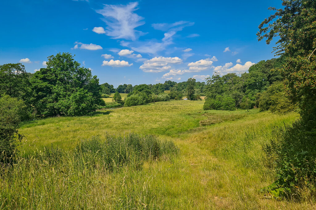 Field with a river that has trees along it