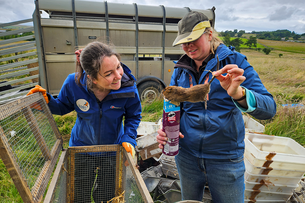 One woman holds a water vole by its tail whilst another woman looks at its face