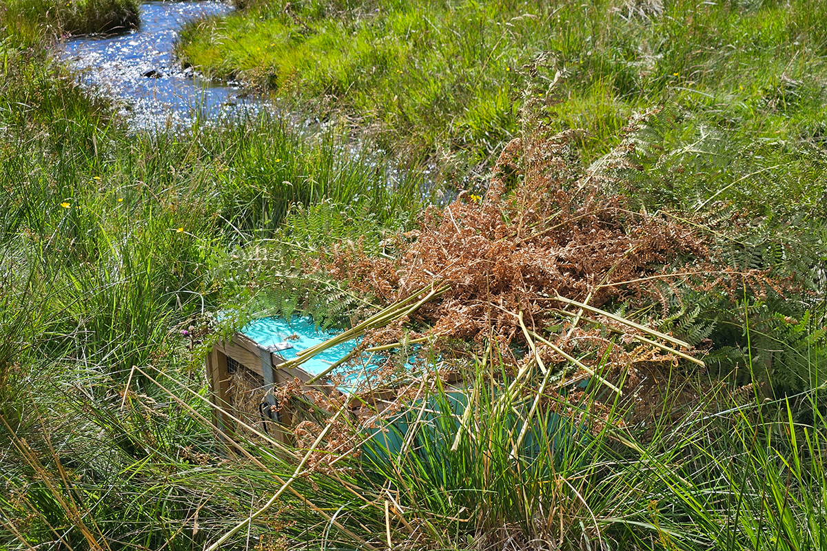 A cage placed near a riverbank covered on top with brash.