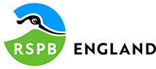 RSPB England logo