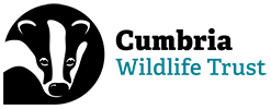 Cumbria Wildlife Trust logo