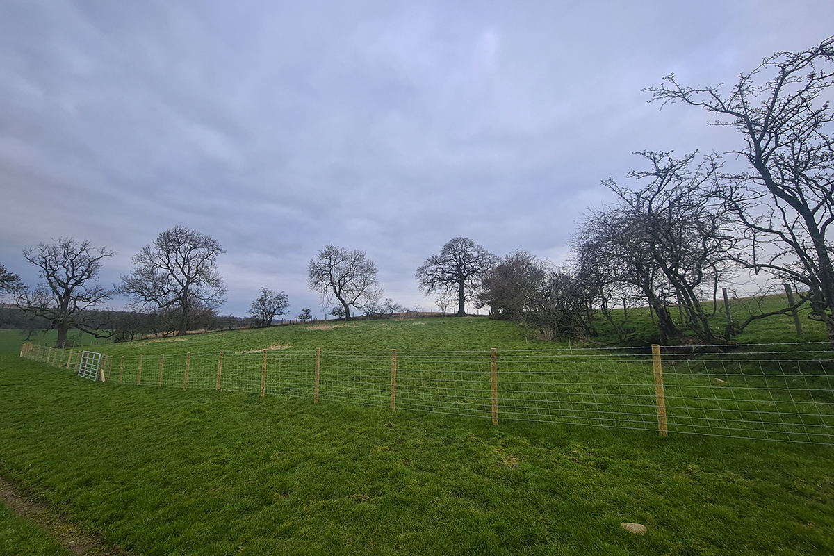 A triangle field corner bordered on two sides by hedges and on one side by a new fence