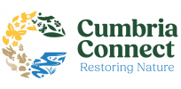 Cumbria Connect logo