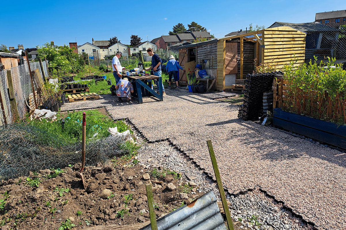 A tree nursery on an allotment with a wide, flat path suitable for wheelchairs.
